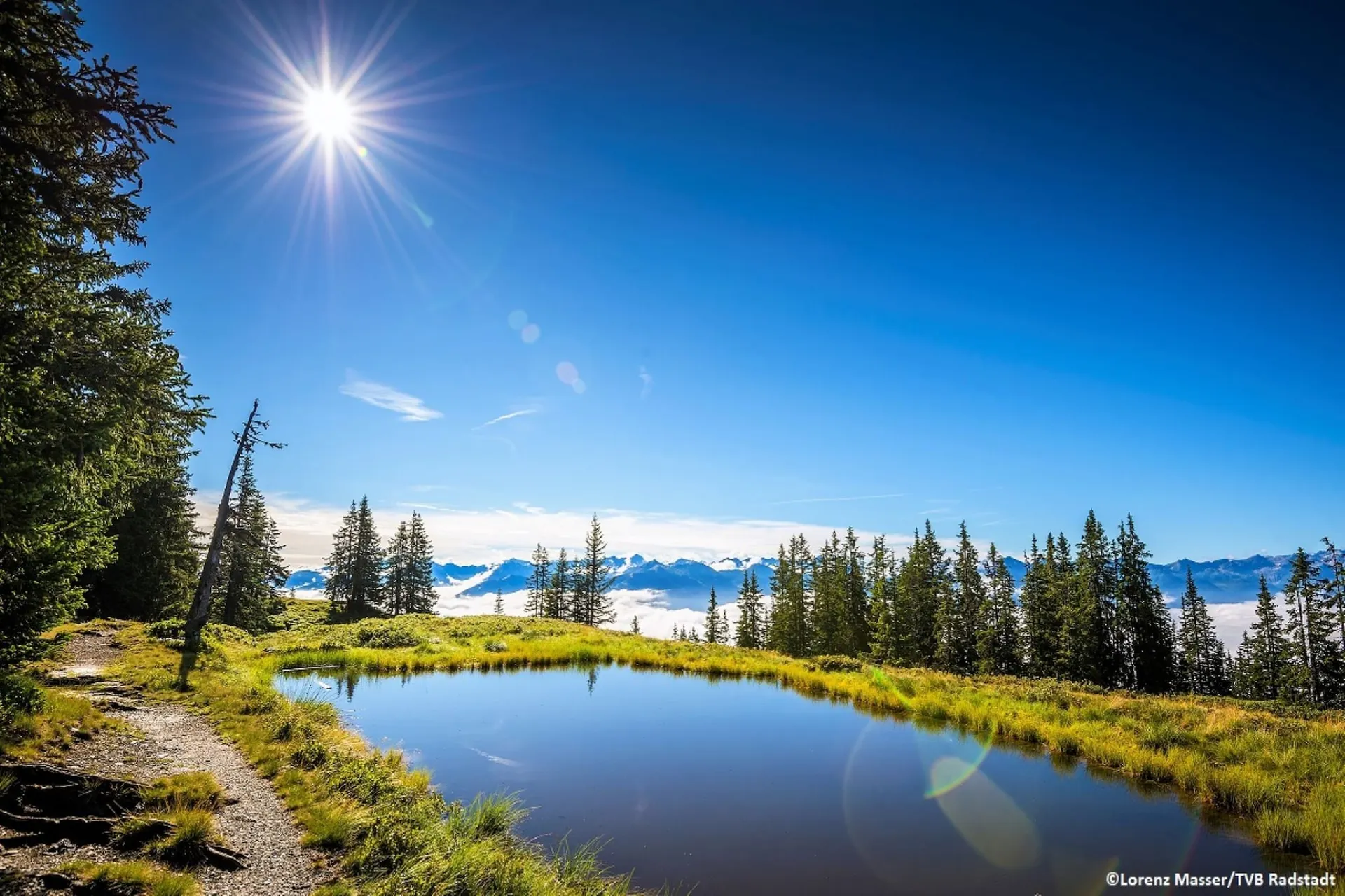 In de regio (zomer) (>5 km)