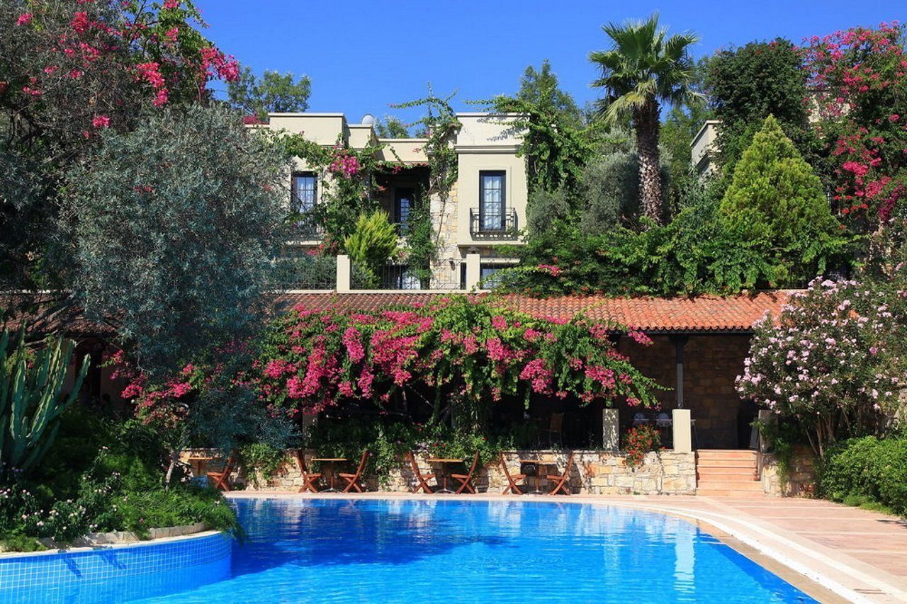 Zeytinada, foto 7
