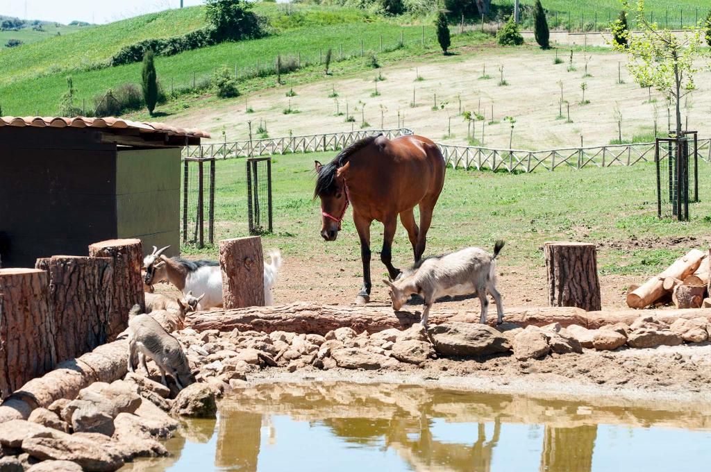Popilia Country Resort, foto 4