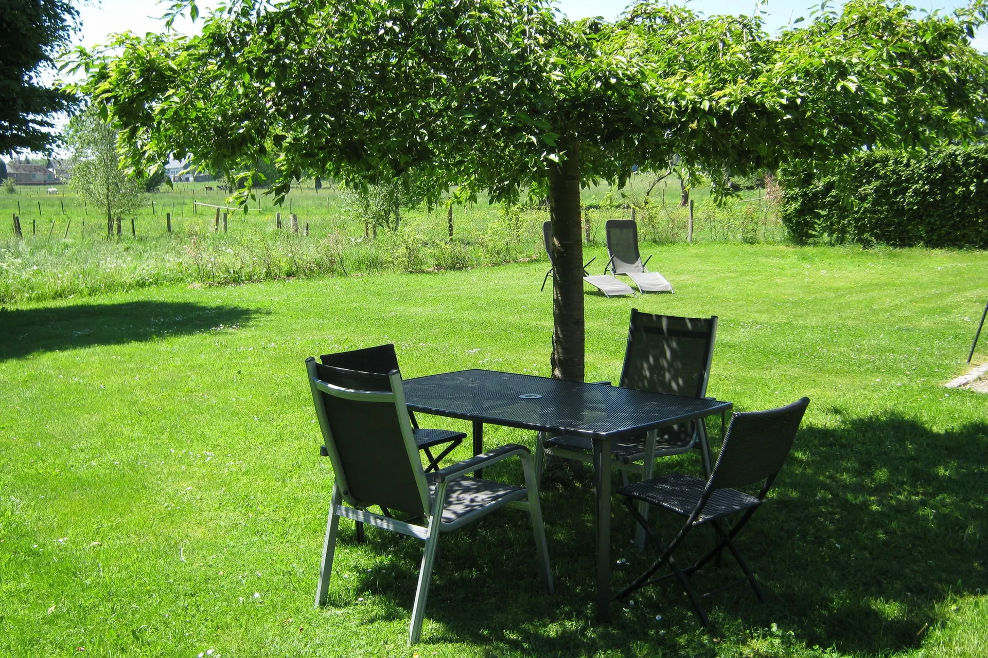 Jardin (été)