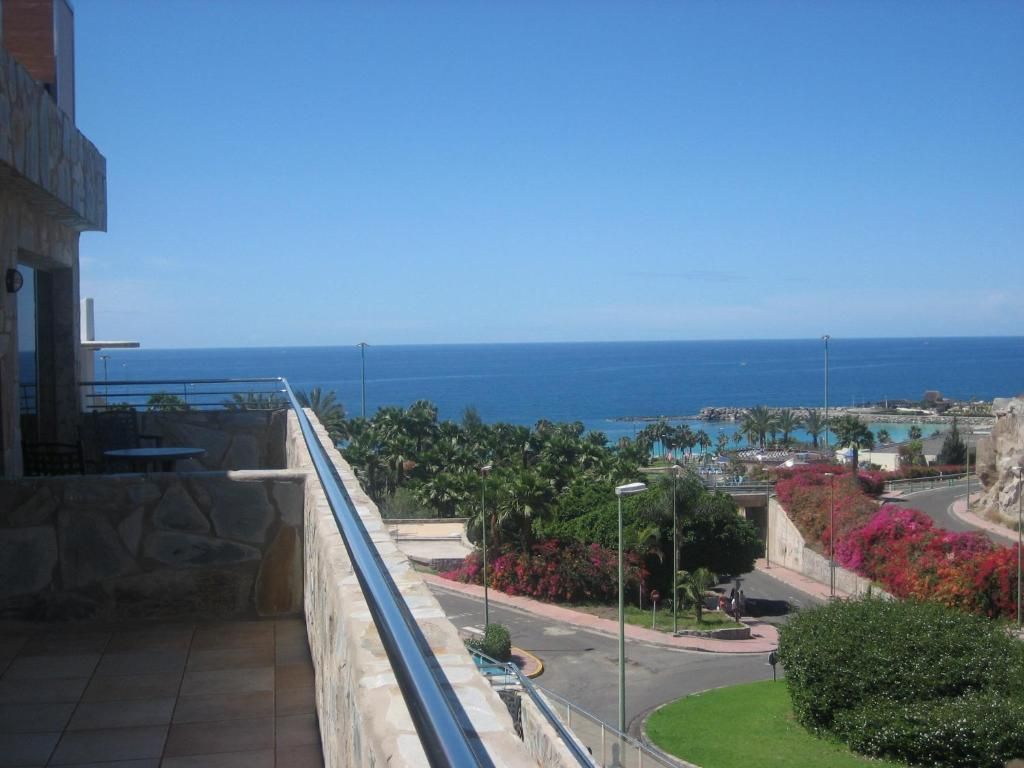Terraza Amadores, foto 8