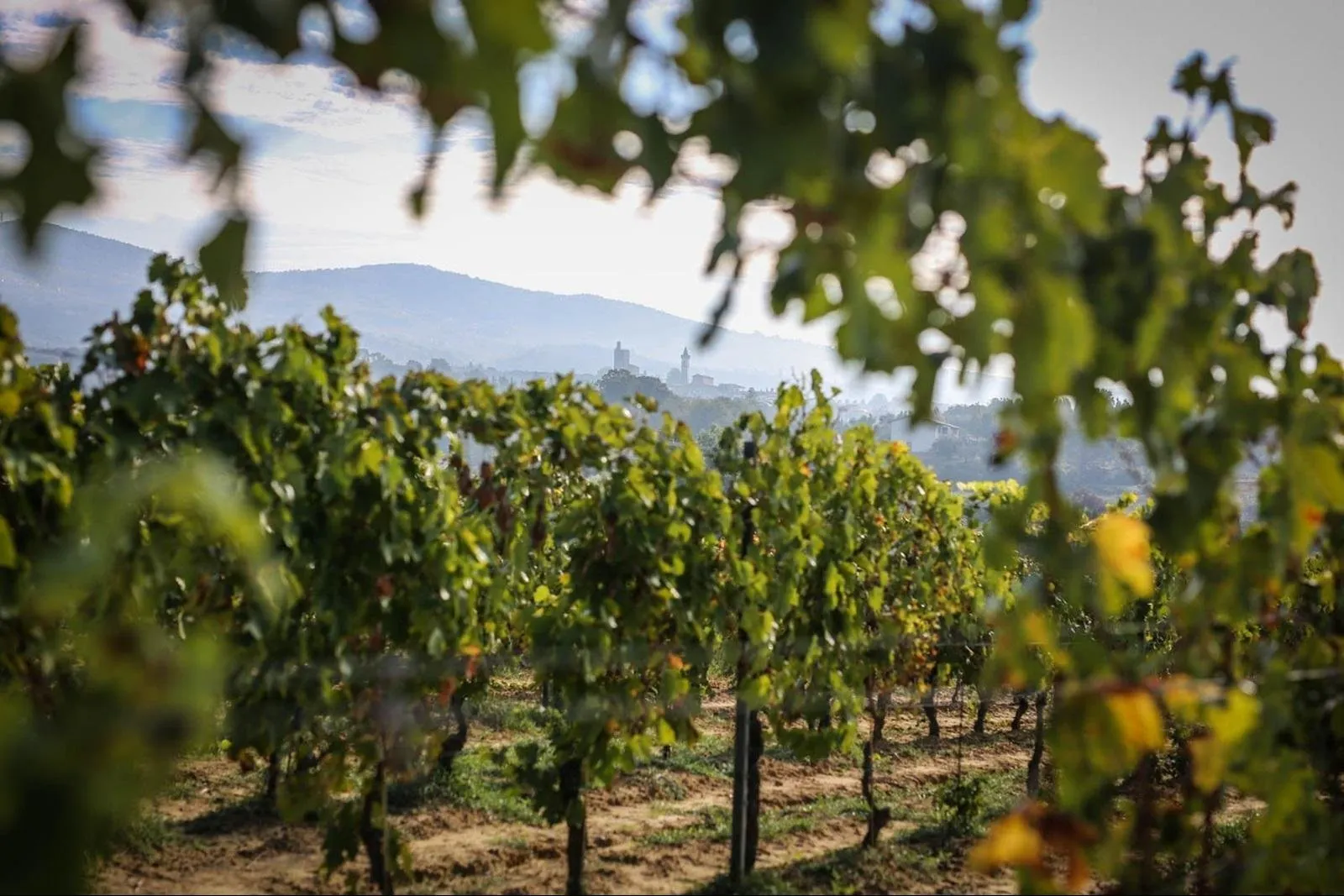 Monna Caterina Wine Resort