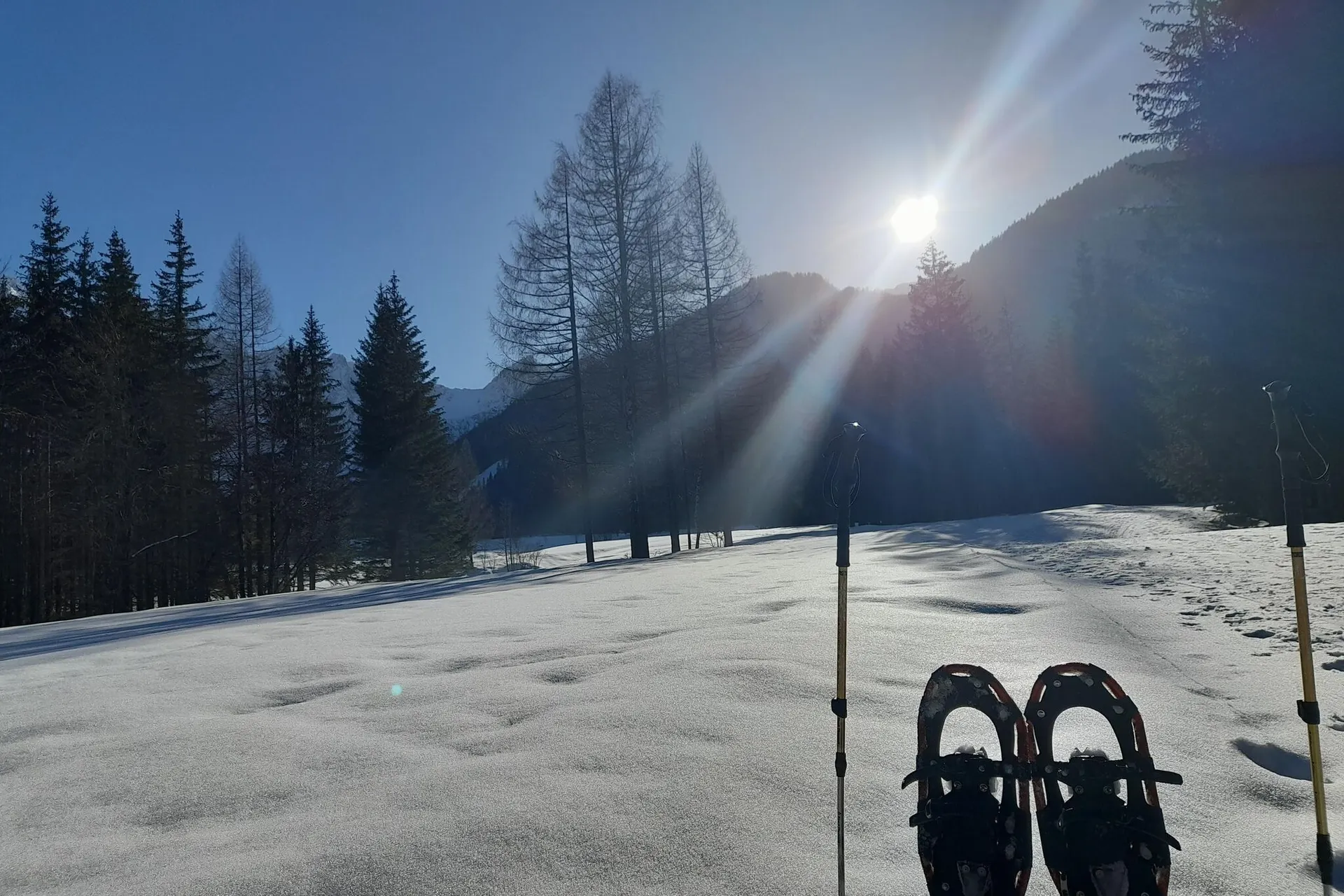 Extérieur maison de vacances (hiver)
