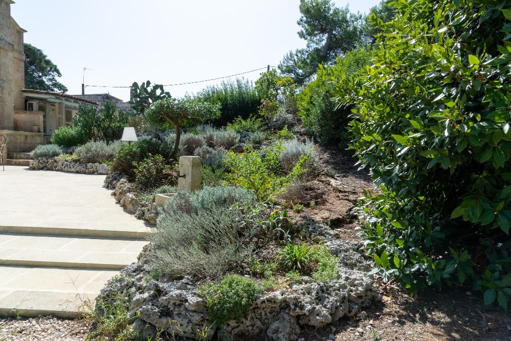 Masseria Caliani, foto 3
