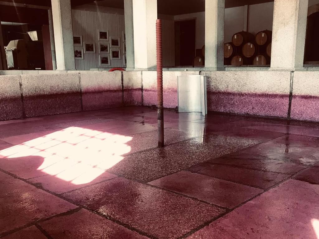 Quinta da Pacheca, foto 10