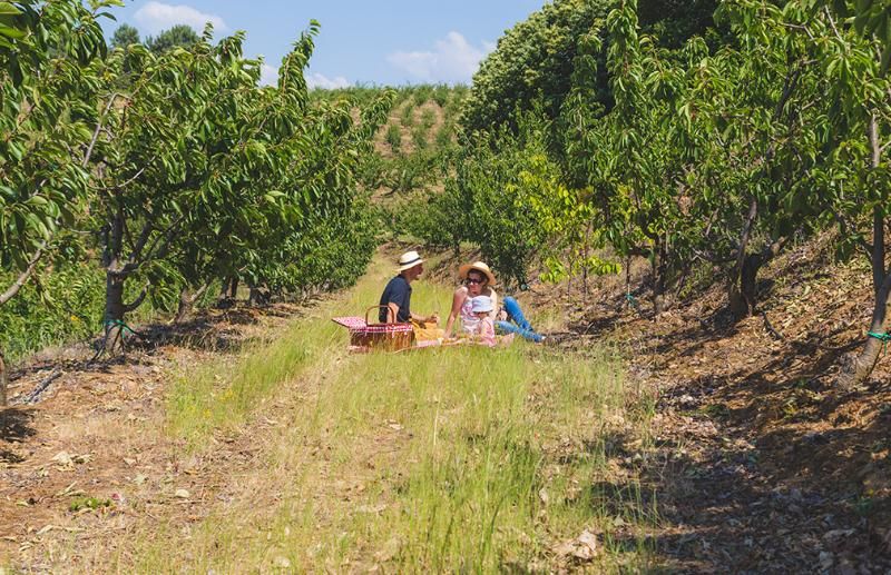 Quinta da Barroca, foto 14