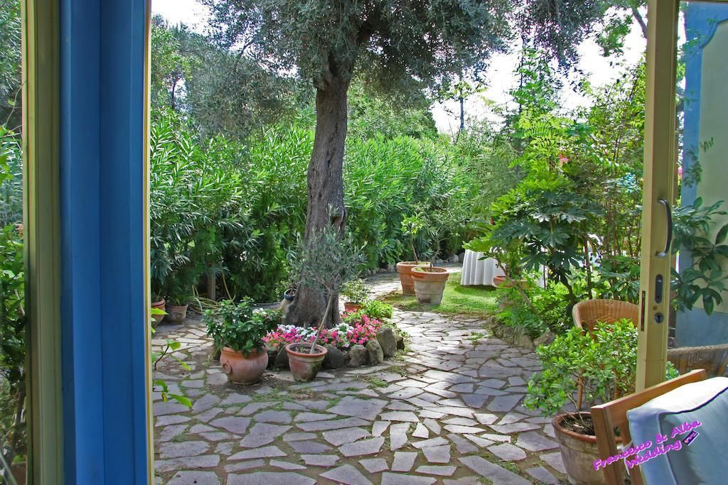 Solcalante, foto 12