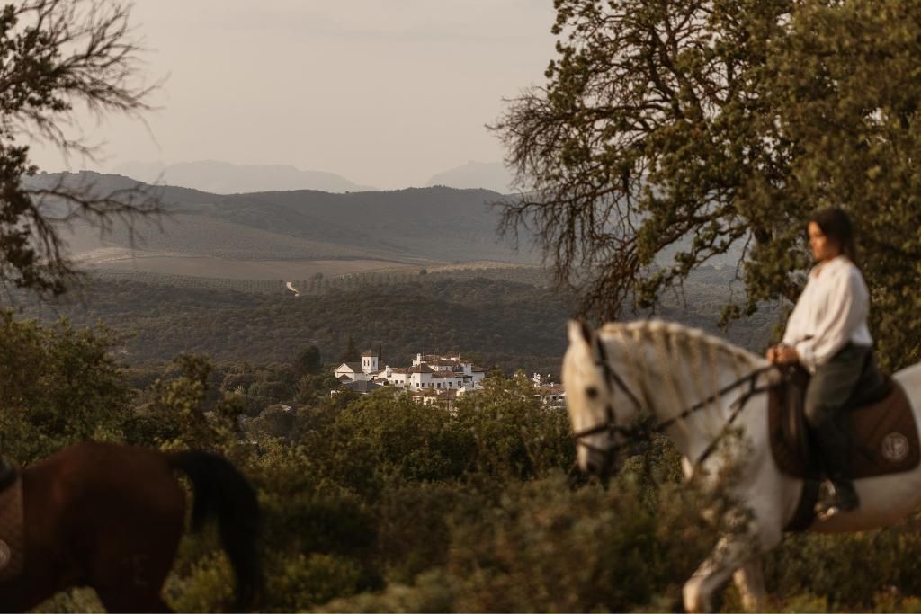 Finca La Bobadilla, foto 3