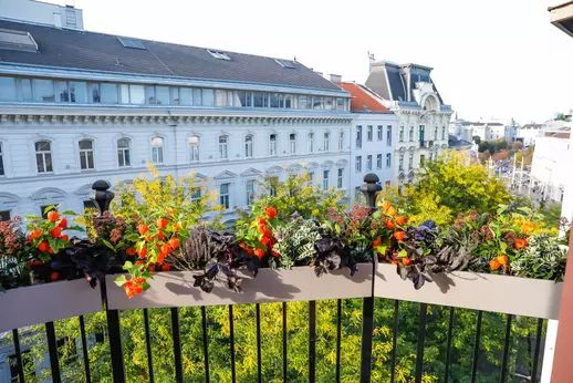 Boutiquehotel Das Tyrol, foto 11