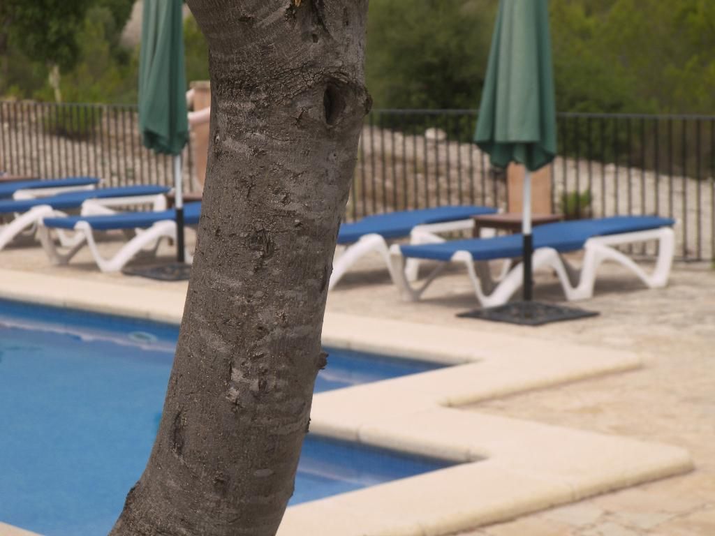 Agroturisme Es Picot, foto 9