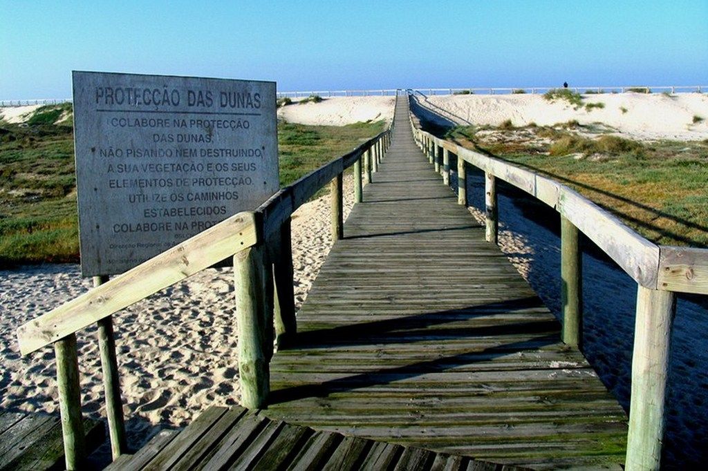 Moliceiro, foto 12