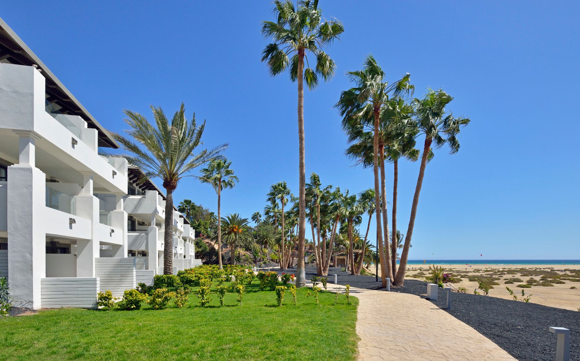 ZEL by Meliá Fuerteventura, foto 11