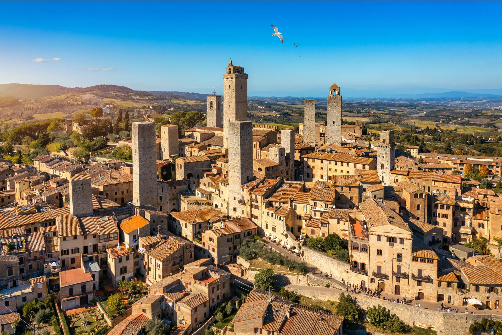 Fly-drive 10 dagen: Slapen tussen de olijfbomen - San Gimignano