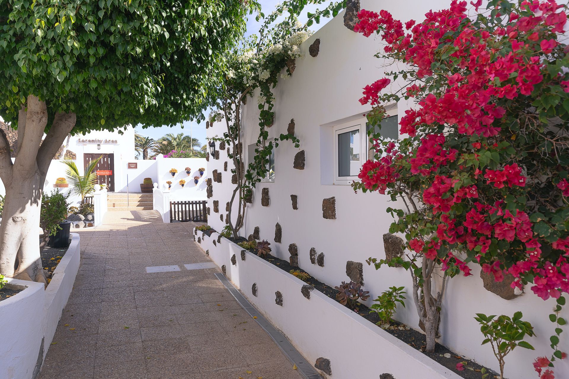 Hotel Siroco by Seasense Hotels, foto 11