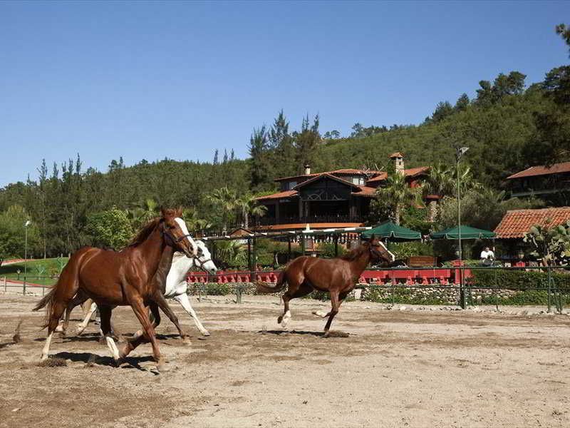 Hotel Berke Ranch & Nature, foto 15