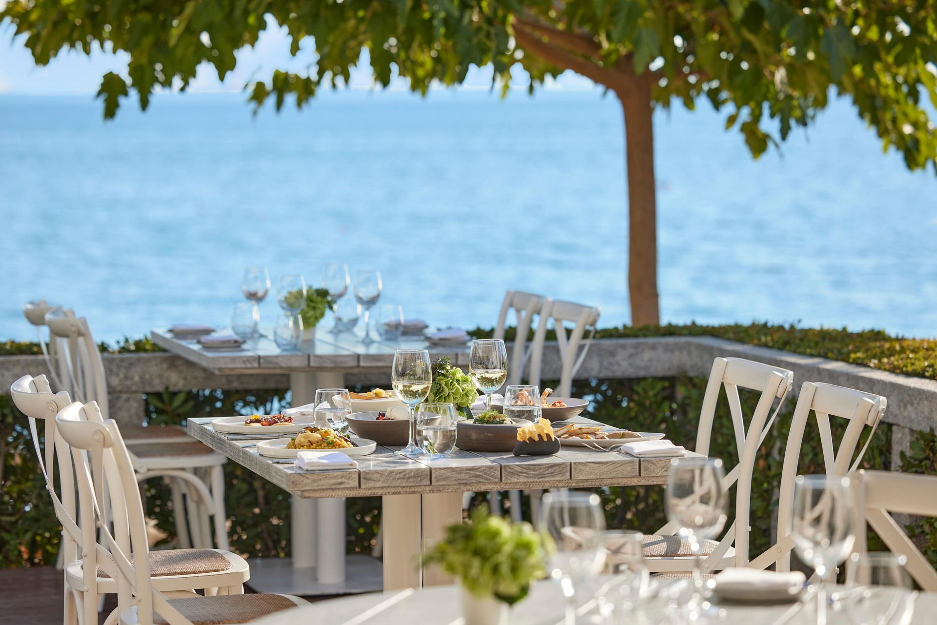 Ikos Olivia, foto 4