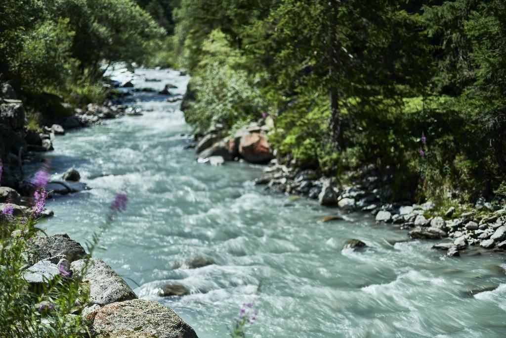 Le Massif Hotel & Lodge Courmayeur, foto 5