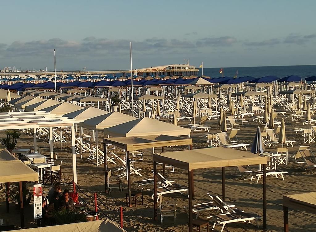 Fortunella, foto 8
