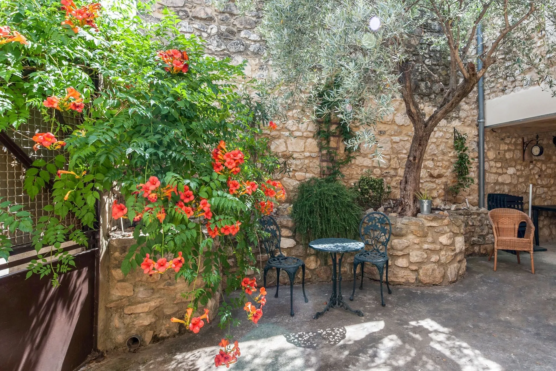 Jardin (été)