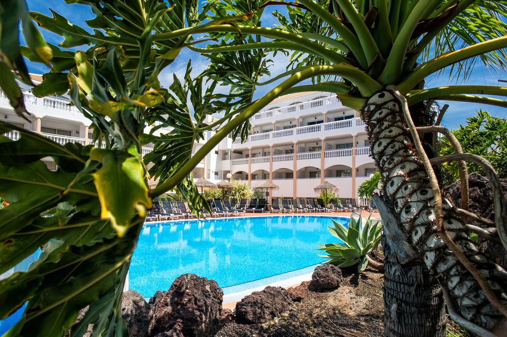 whala!tenerife, foto 8