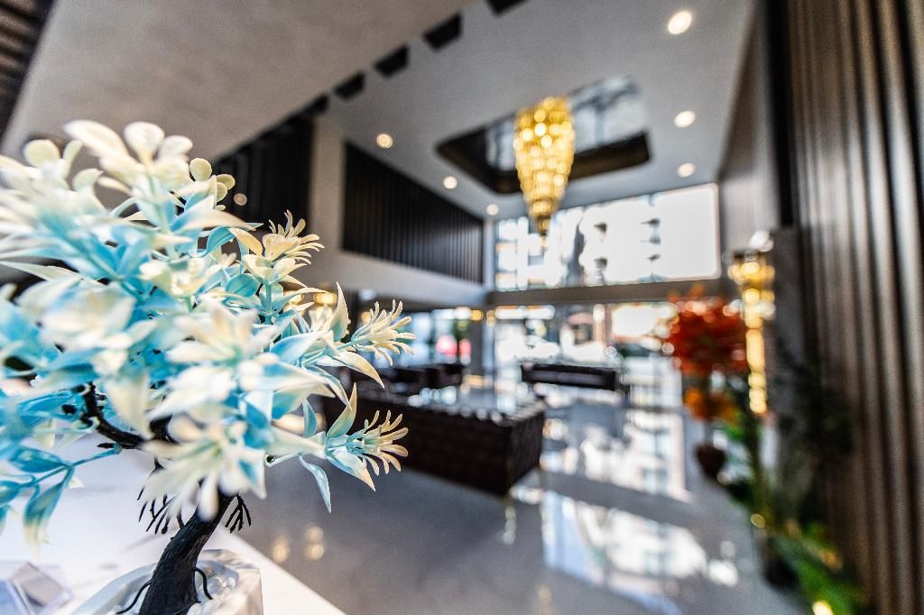 Blue Vista Hotel, foto 4