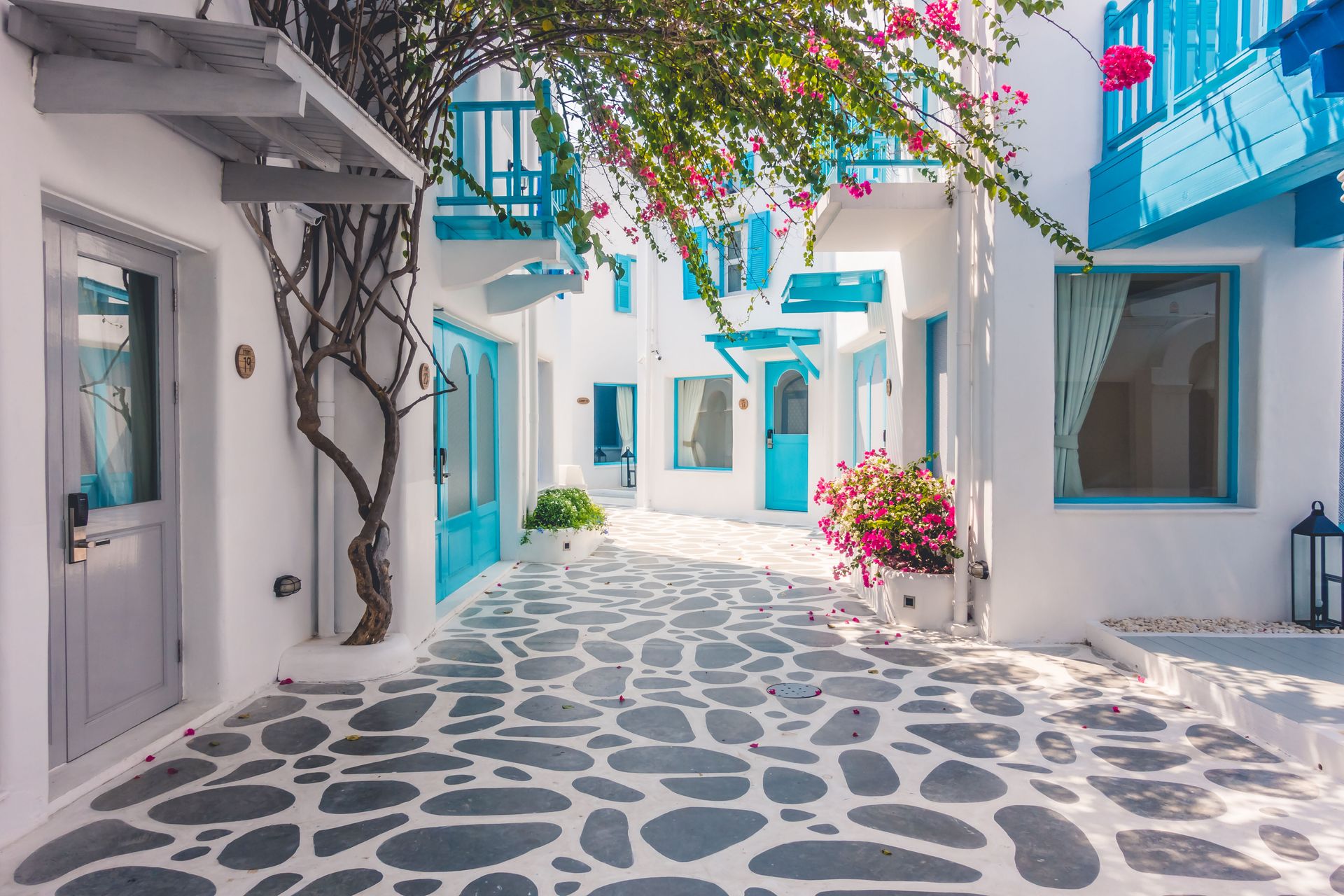 Eilandhoppen naar Mykonos en Santorini, foto 10