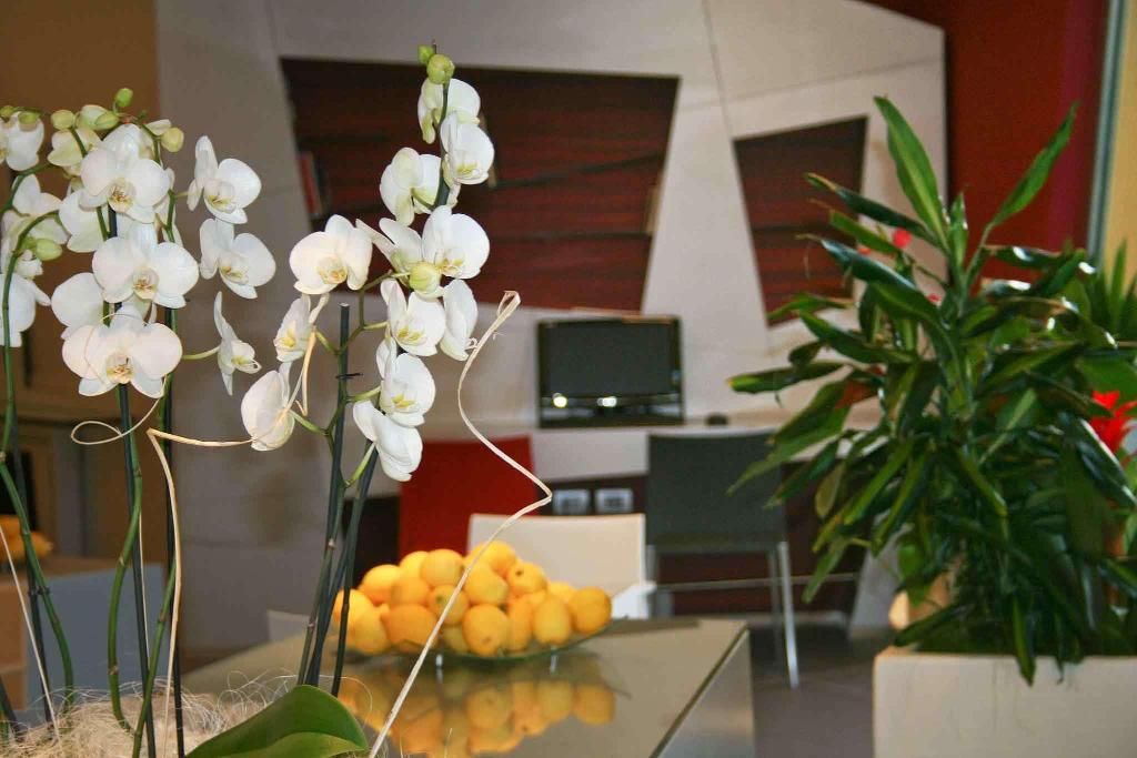 Ibis Styles Catania Acireale, foto 4