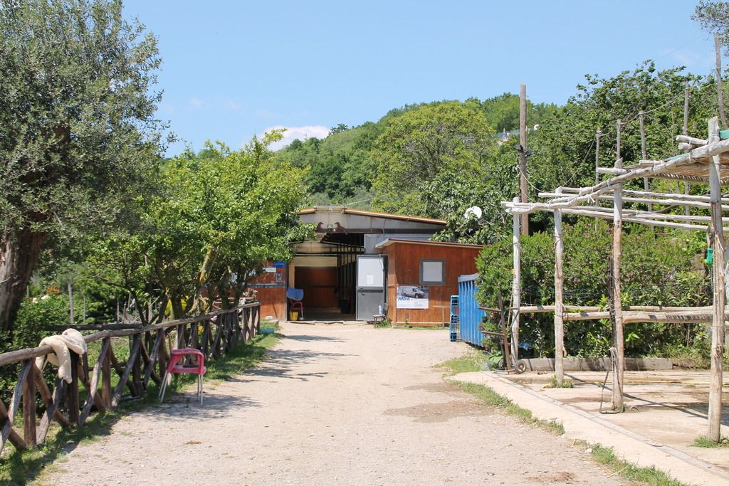 Agriturismo Piccolo Paradiso, foto 7