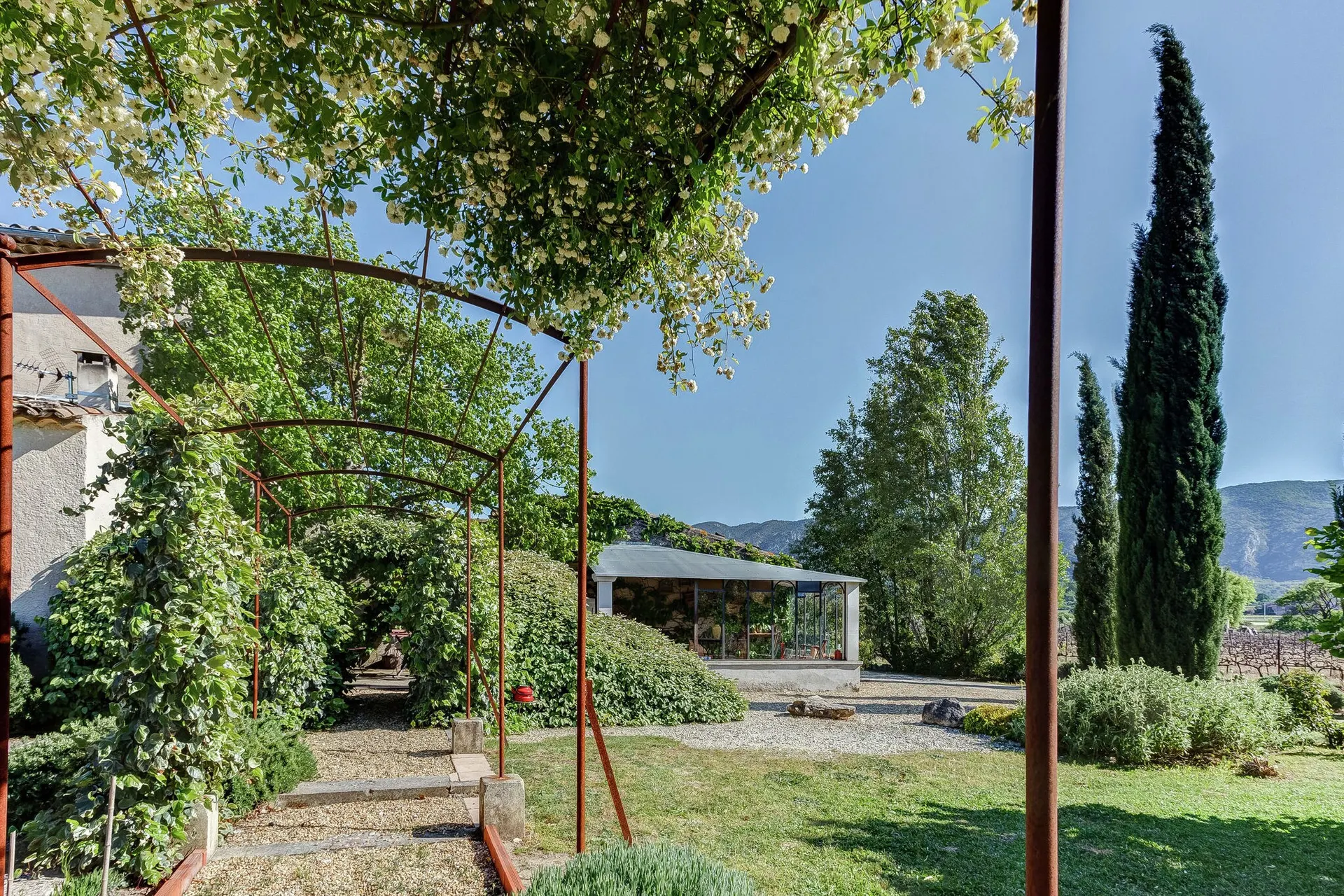 Jardin (été)