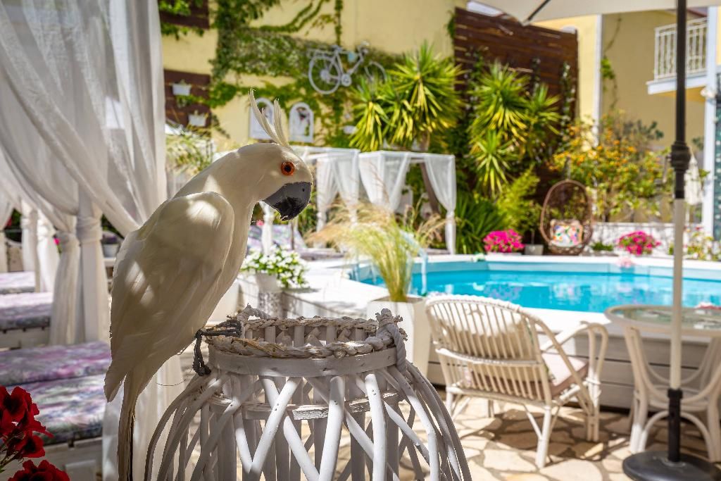V.A Boutique Apartments & Suites, foto 14