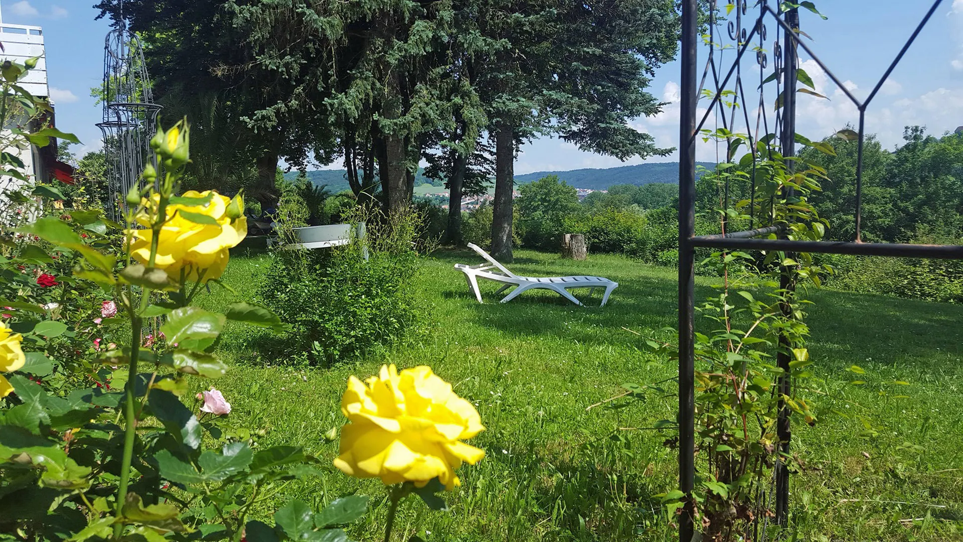 Tuin