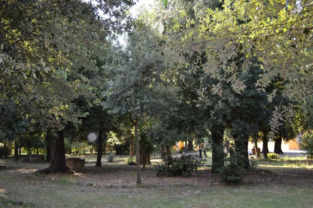 Agriturismo Villa Graziani, foto 14