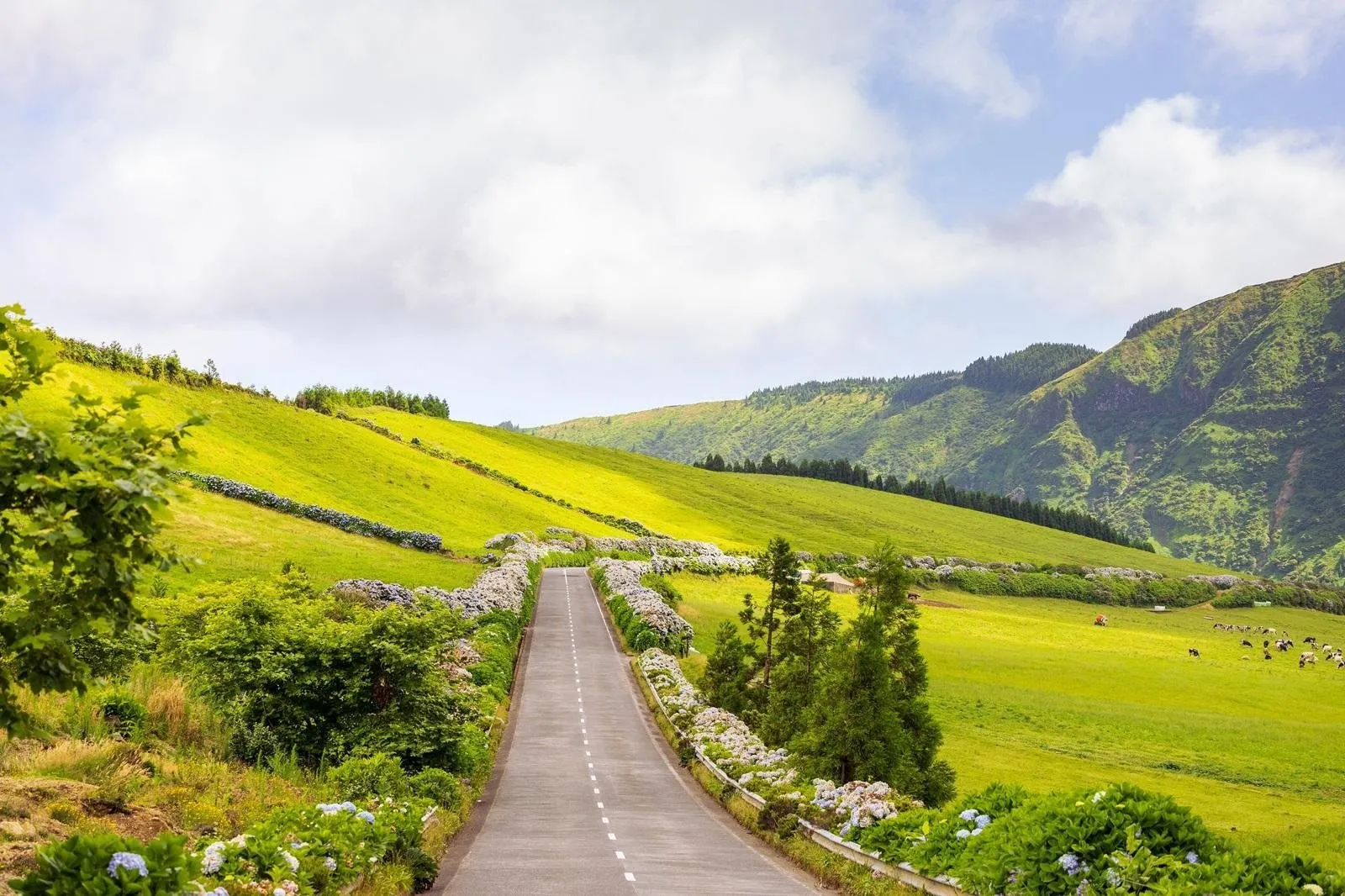 Great Azorean Circuit per huurauto