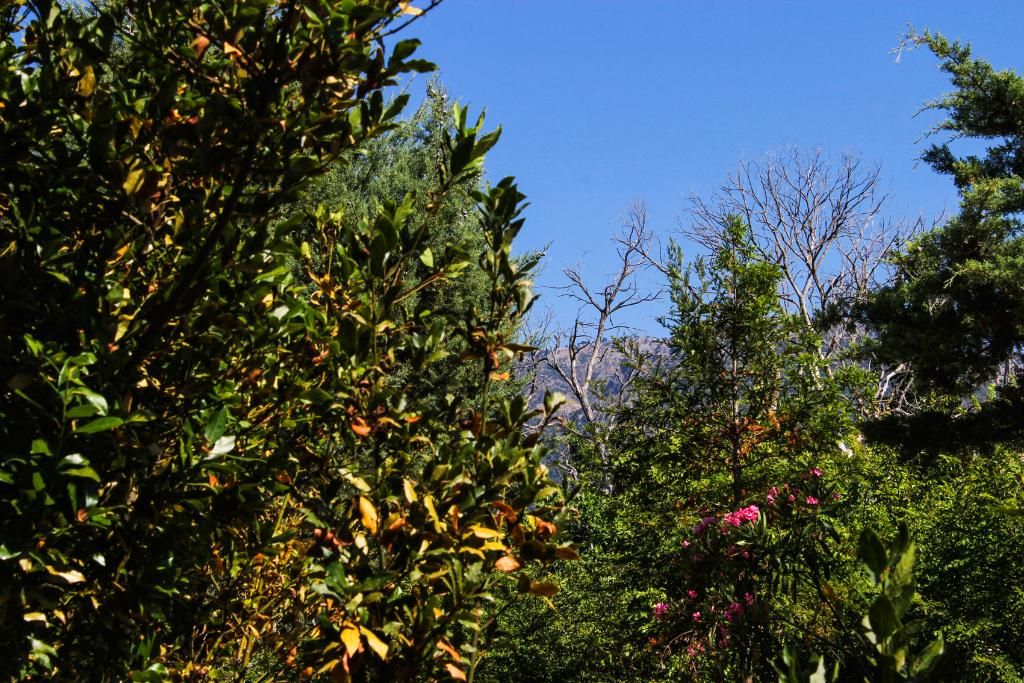 Nireas Resort Corfu, foto 14