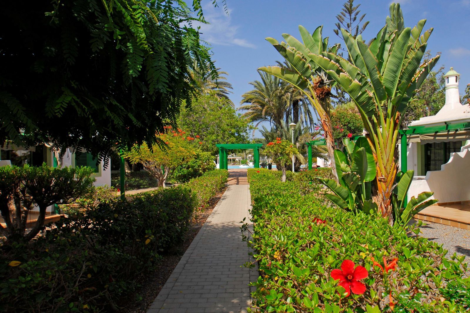 Bungalows Cordial Sandy Golf, foto 11
