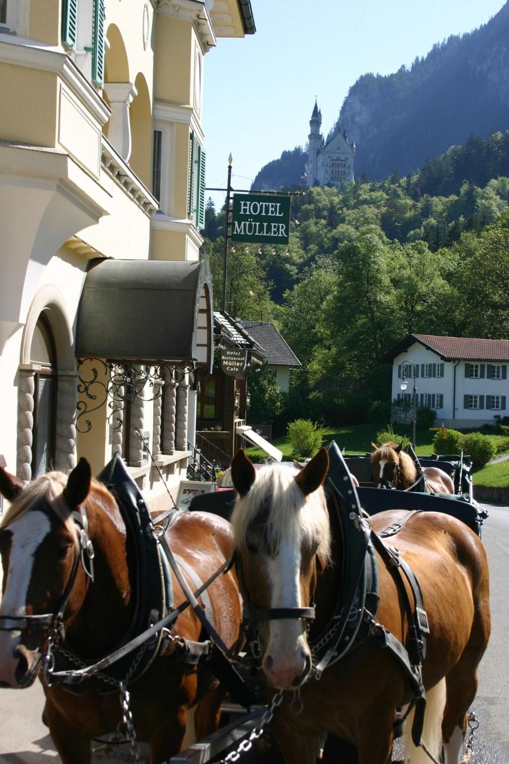 Hotel Müller, foto 13